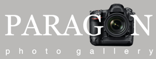 paragon logo ligh grey