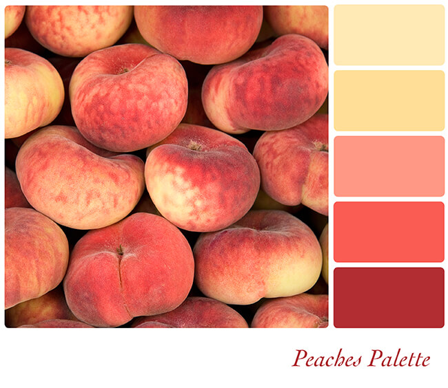 Peach Palette