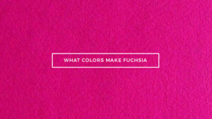What Colors Make Fuchsia