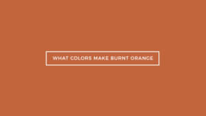 What Colors Make Burnt Orange