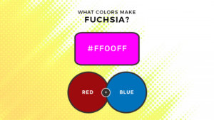 What Colors Make Fuchsia? What Two Colors Make Fuchsia