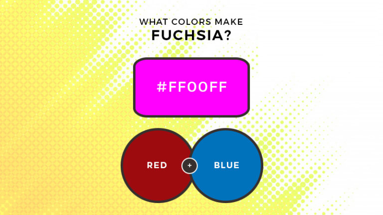 What Colors Make Fuchsia? What Two Colors Make Fuchsia (Updated 2023)