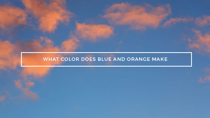 Blue and Orange Mixed! What Color Does Orange and Blue Make