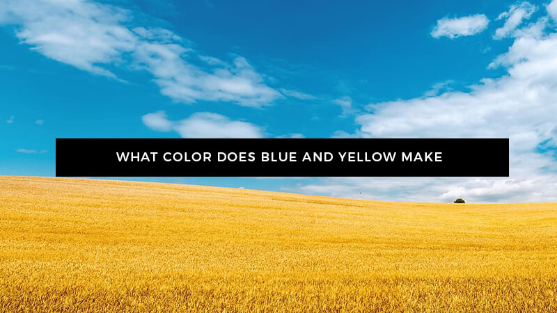 What Color Does Blue and Yellow Make
