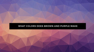 What Color Does Brown and Purple Make