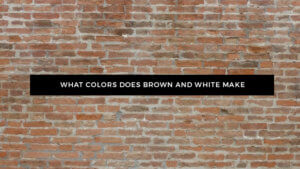 What Color Does Brown and White Make