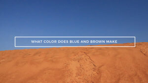 What Color Does Blue and Brown Make