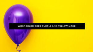 What Color Does Purple and Yellow Make