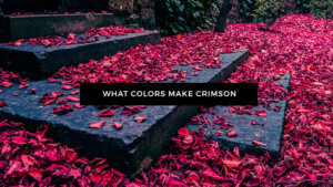 What Colors Make Crimson