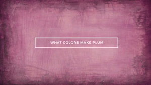 What Colors Make Plum Color