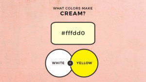 What Colors Make Cream? What Two Colors Make Cream