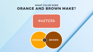 What Color Does Orange and Brown Make