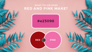 What Color Does Red and Pink Make