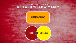 What Color Does Red and Yellow Make