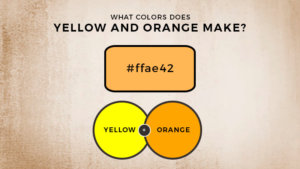 Orange and Yellow Mixed! What Color Does Orange and Yellow Make