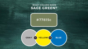 What Colors Make Sage Green? Let's Find Out...