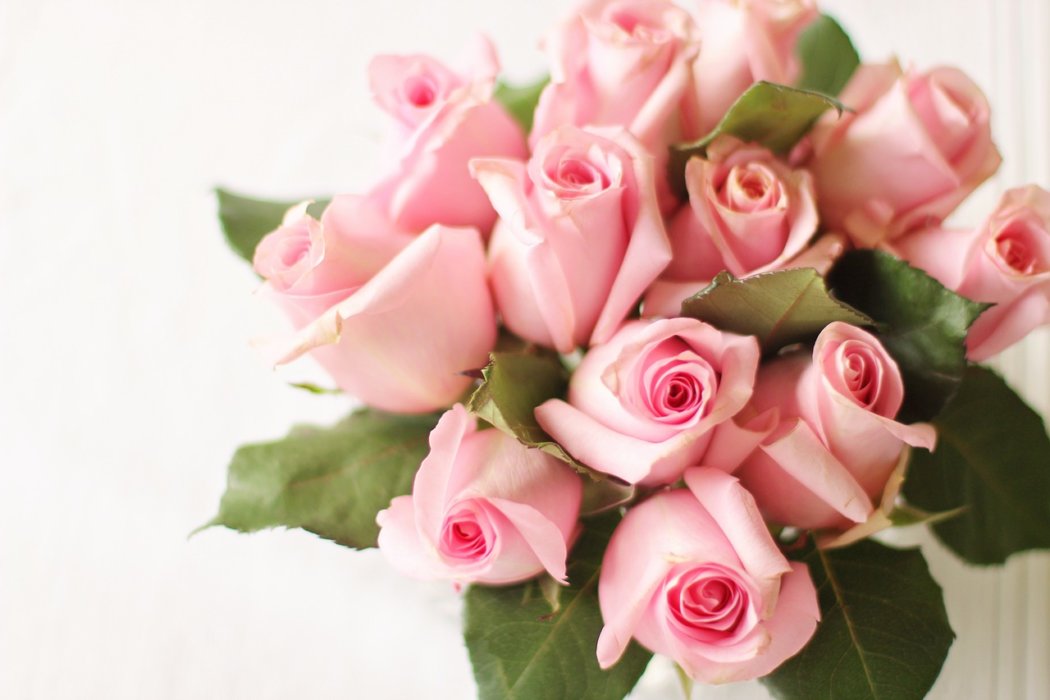 What is the Meaning of Pink Roses?