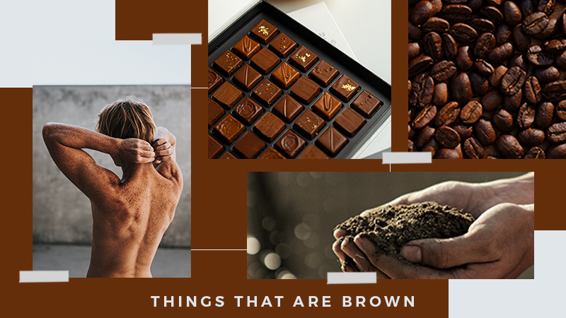 Things that are Brown