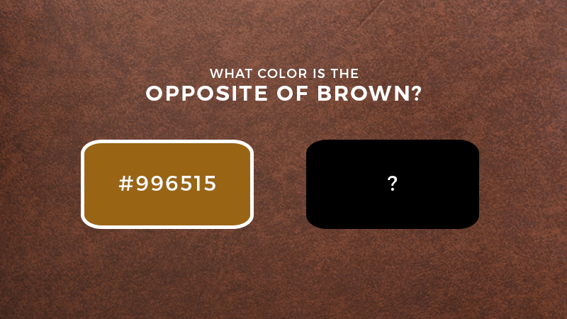 color wheel complementary colors brown