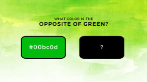 What color is the opposite of green