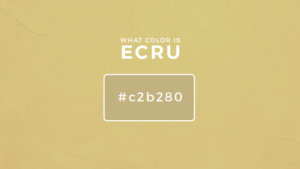 What color is Ecru