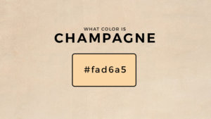 Color Champagne