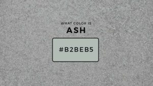 What Color is Ash