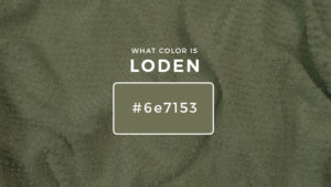 What Color Is Loden