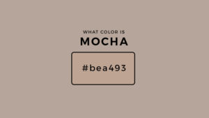 What Color Is Mocha