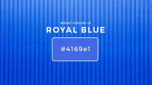 What Color is Royal Blue