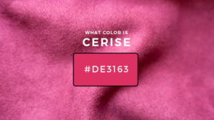 What Color Is Cerise