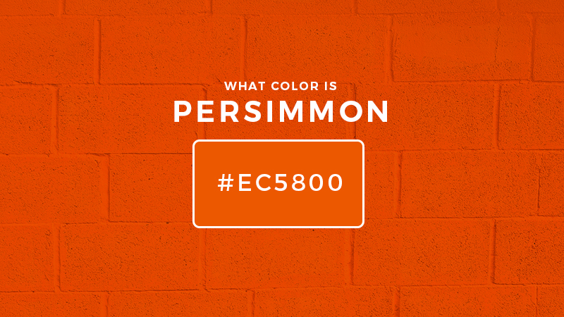 What Color Is Persimmon