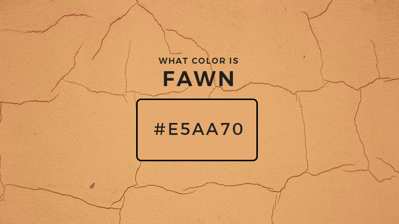 what-color-is-fawn-about-fawn-color-updated-2023