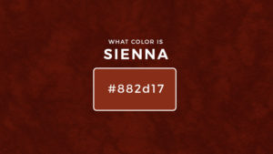 What color is sienna