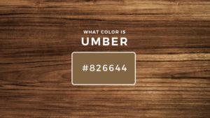 What color is umber