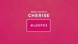 What Color Is Cherise