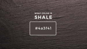 What Color Is Shale