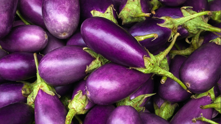 What Color Is Eggplant? About Eggplant Color (Updated 2023)