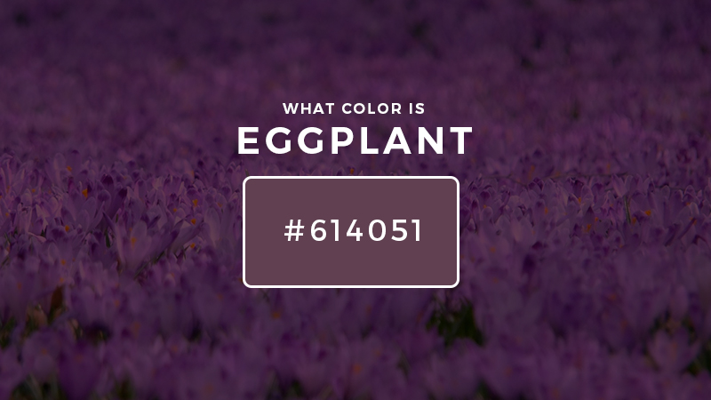 What Color is Eggplant