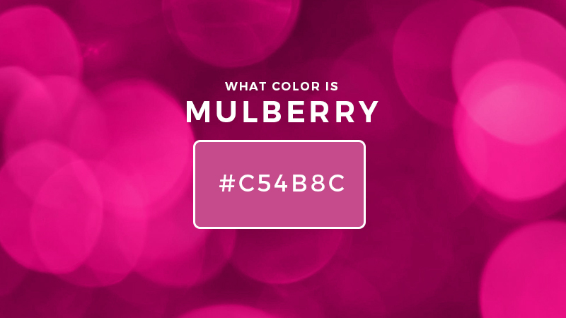 what-color-is-mulberry-about-mulberry-color-updated-2023