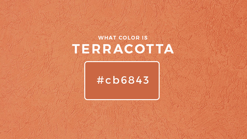 What Color is Terracotta
