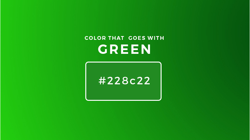 Colors That Go with Green