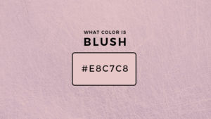 Which Blush Color Is Right For Me Quiz – Find Your Perfect Flush