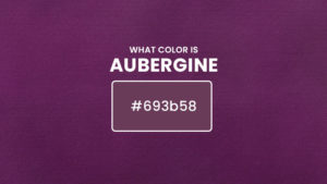 What Color Is Aubergine