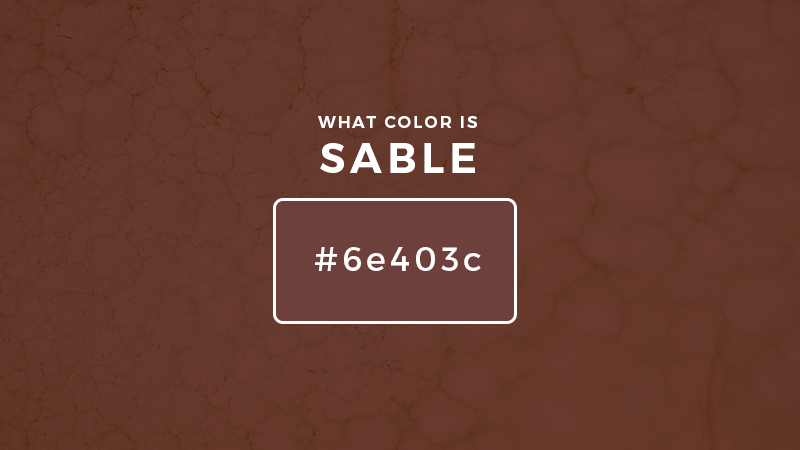 What Color is Sable