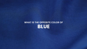 What is the Opposite Color of Blue