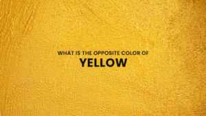 What is the Opposite Color of Yellow