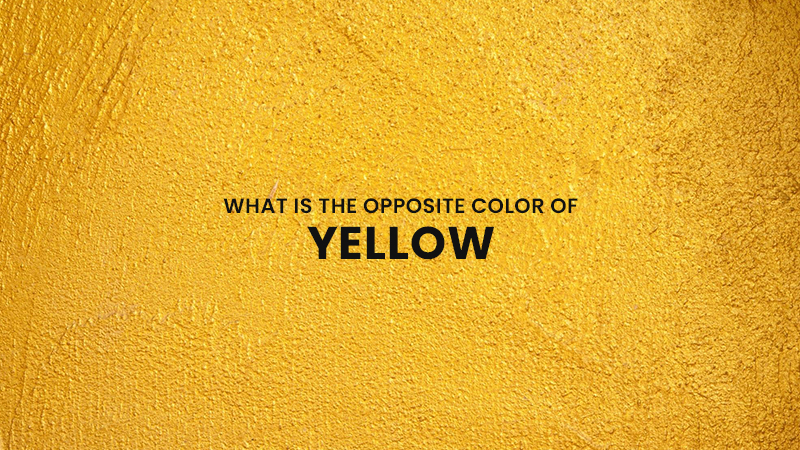 What Is the Opposite Color of Yellow?