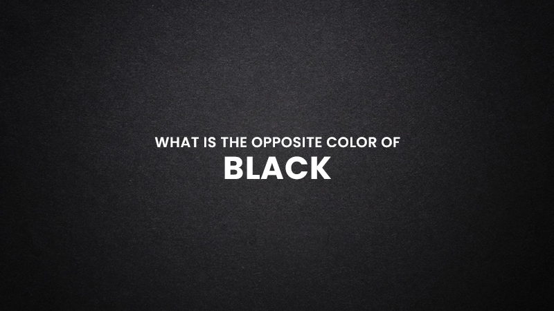 what-is-the-opposite-color-of-black-updated-2023