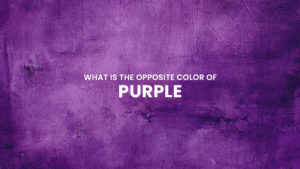 What is the opposite color of purple